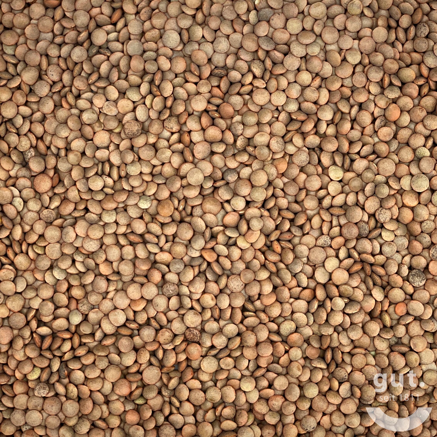 Berglinsen aus Österreich, BIO