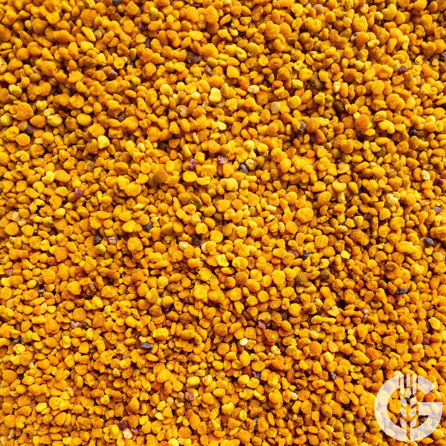Blütenpollen