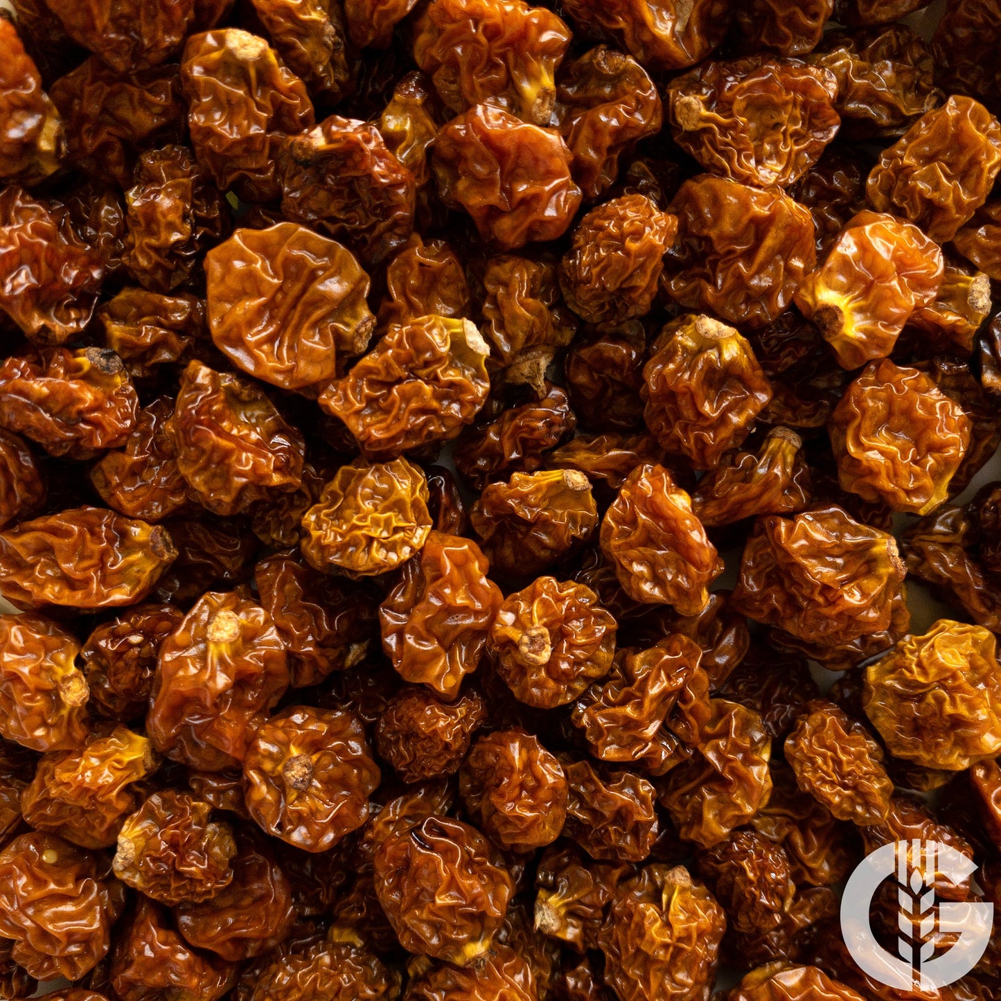 Kapstachelbeeren (Physalis)