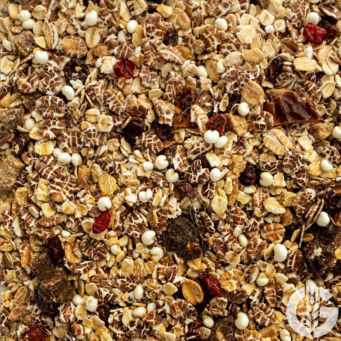 Ur-Getreide Müsli mit Purpur-Weizen